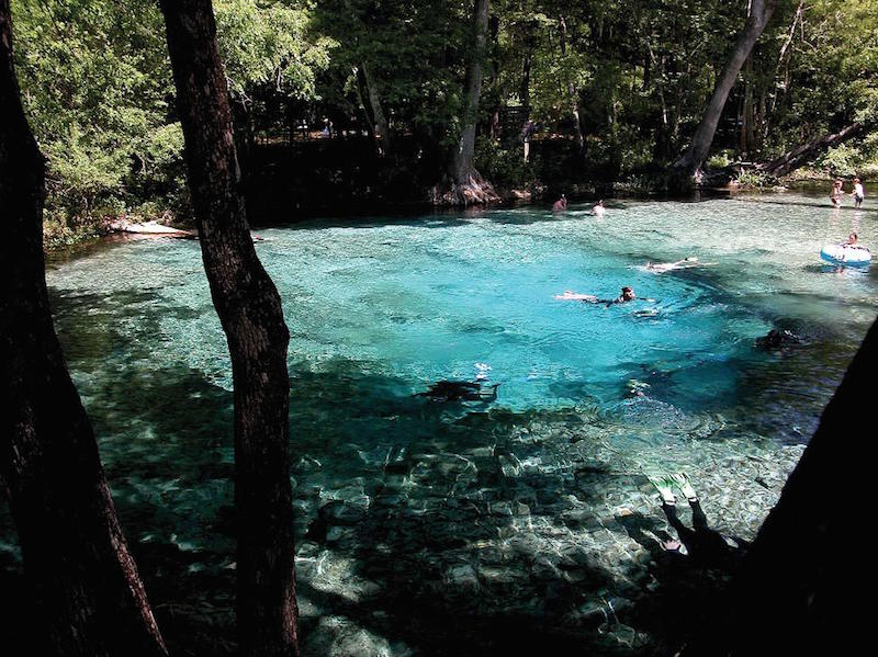 Ginnie Springs Group •