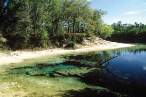 Little River Spring in O'Brien, Florida