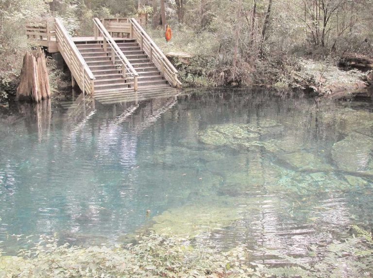Peacock Springs Pool and Stairs