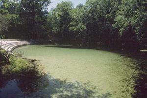 Concrete steps lead into the blue-green water of Poe Springs