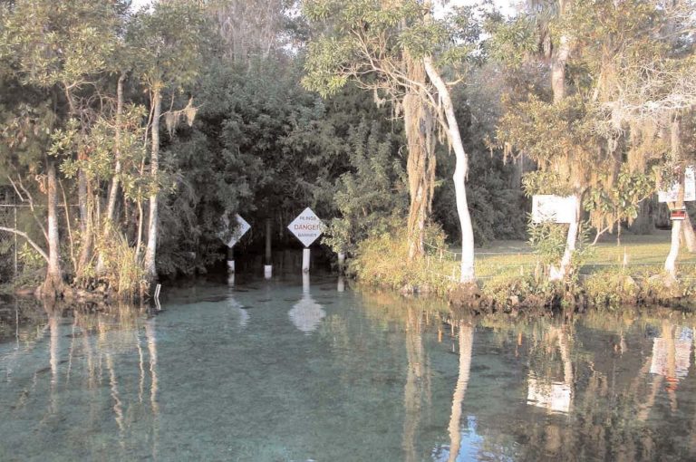 The entrance to Three Sisters Spring via the Crystal River