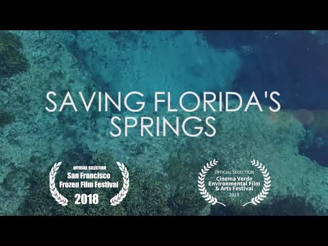 Florida Springs Documentary