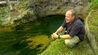 A Waters Journey Documentary